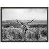 Highland Cow - Shutter and Frame