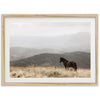 Open Range - Shutter and Frame