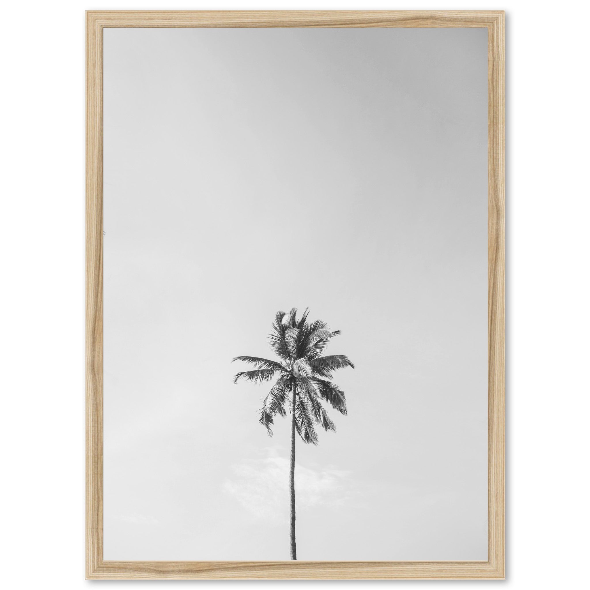 One Palm - Shutter and Frame