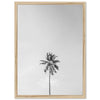 One Palm - Shutter and Frame