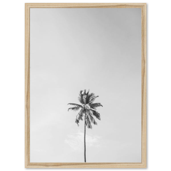 One Palm - Shutter and Frame