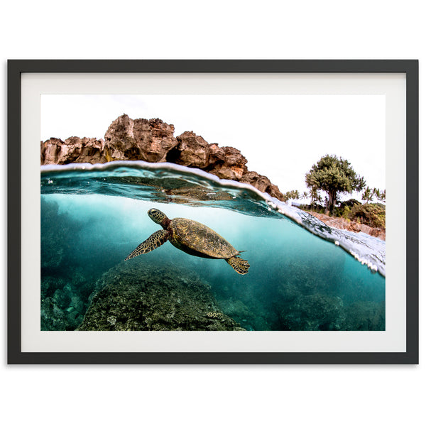 Marine Room - Shutter and Frame