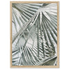 Palm Fan - Shutter and Frame