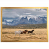 Wild Patagonia - Shutter and Frame