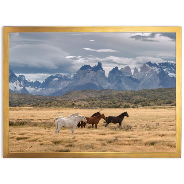 Wild Patagonia - Shutter and Frame