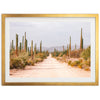 El Camino - Shutter and Frame