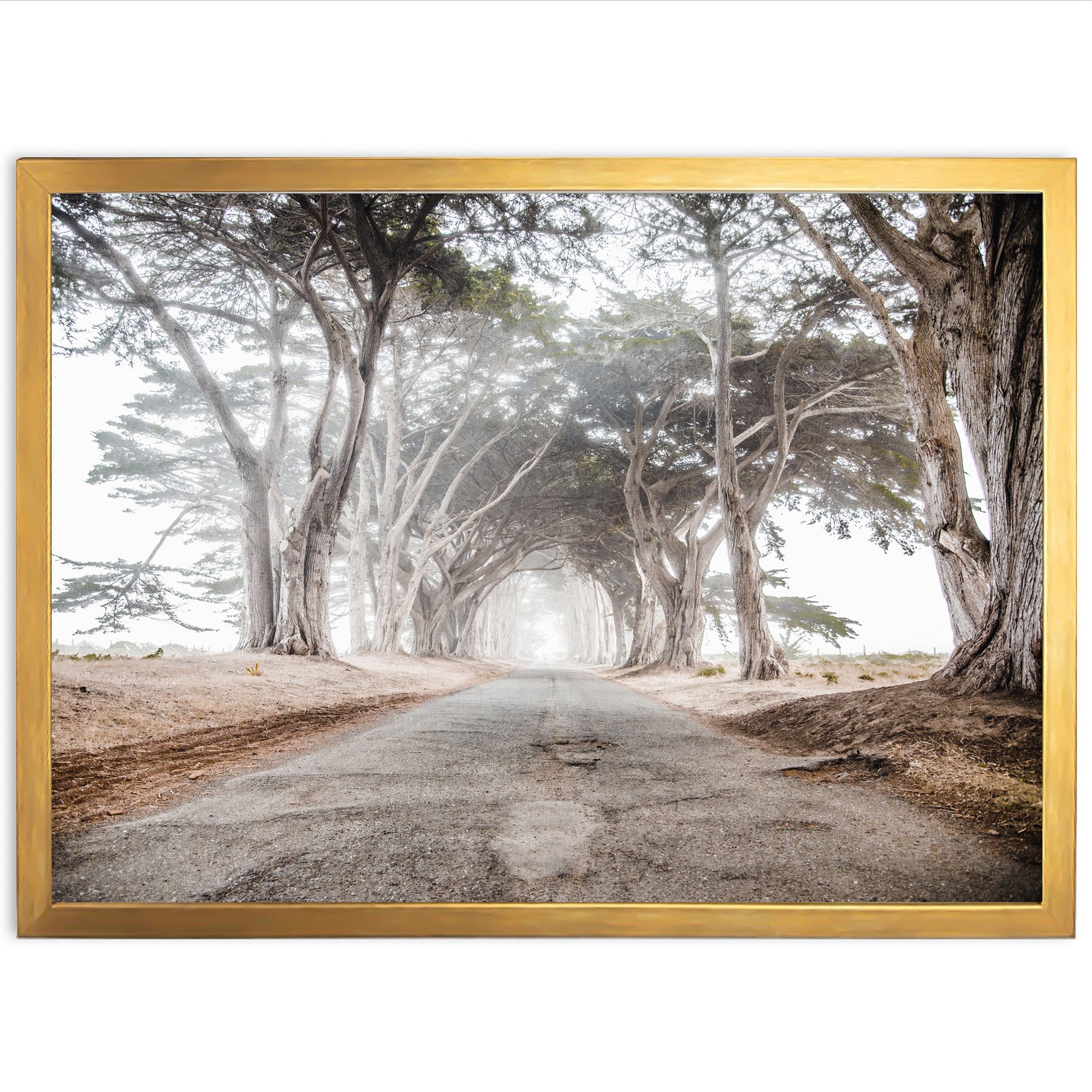 Tunnel Vision - Shutter and Frame