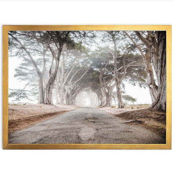Tunnel Vision - Shutter and Frame