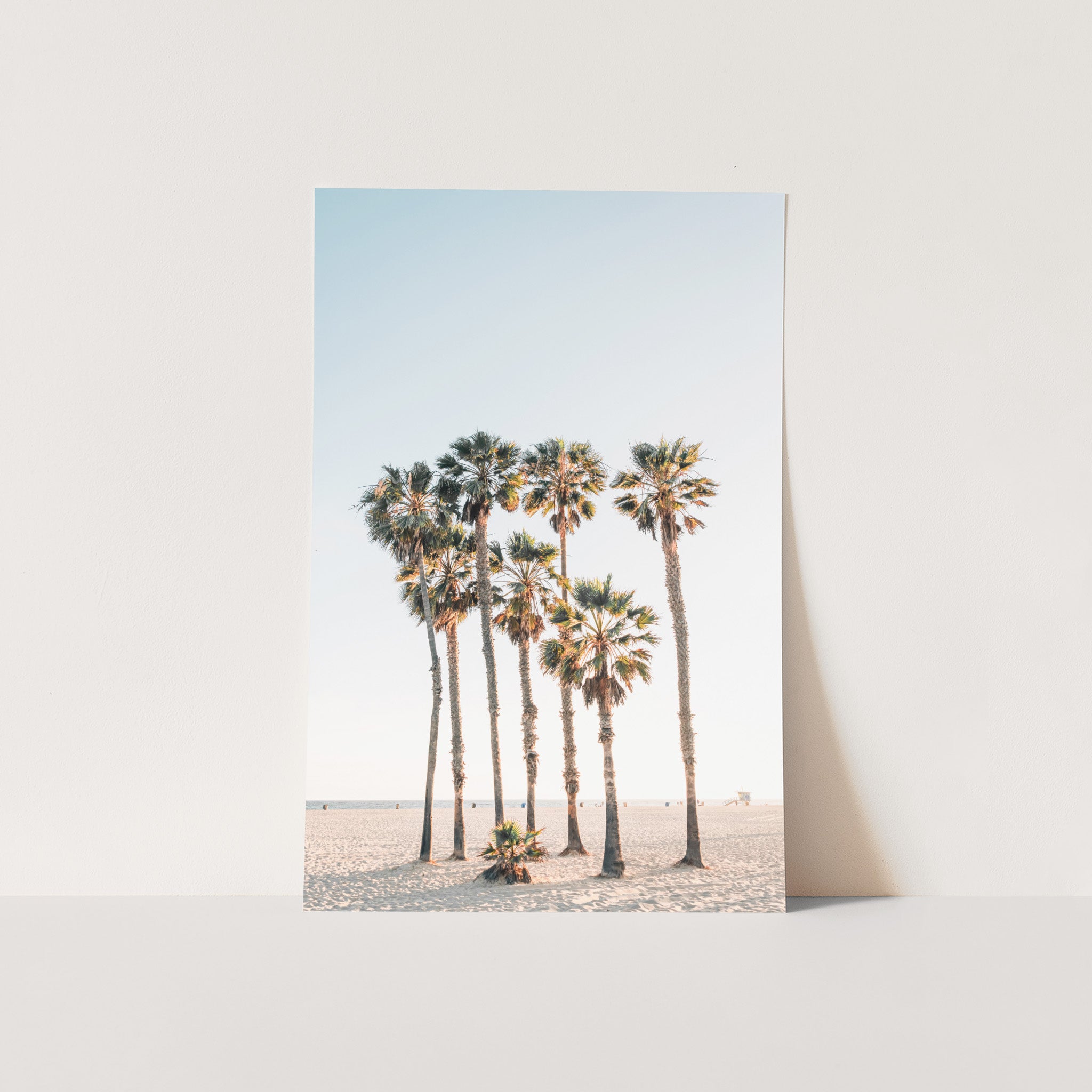 Beach Palms - Shutter and Frame