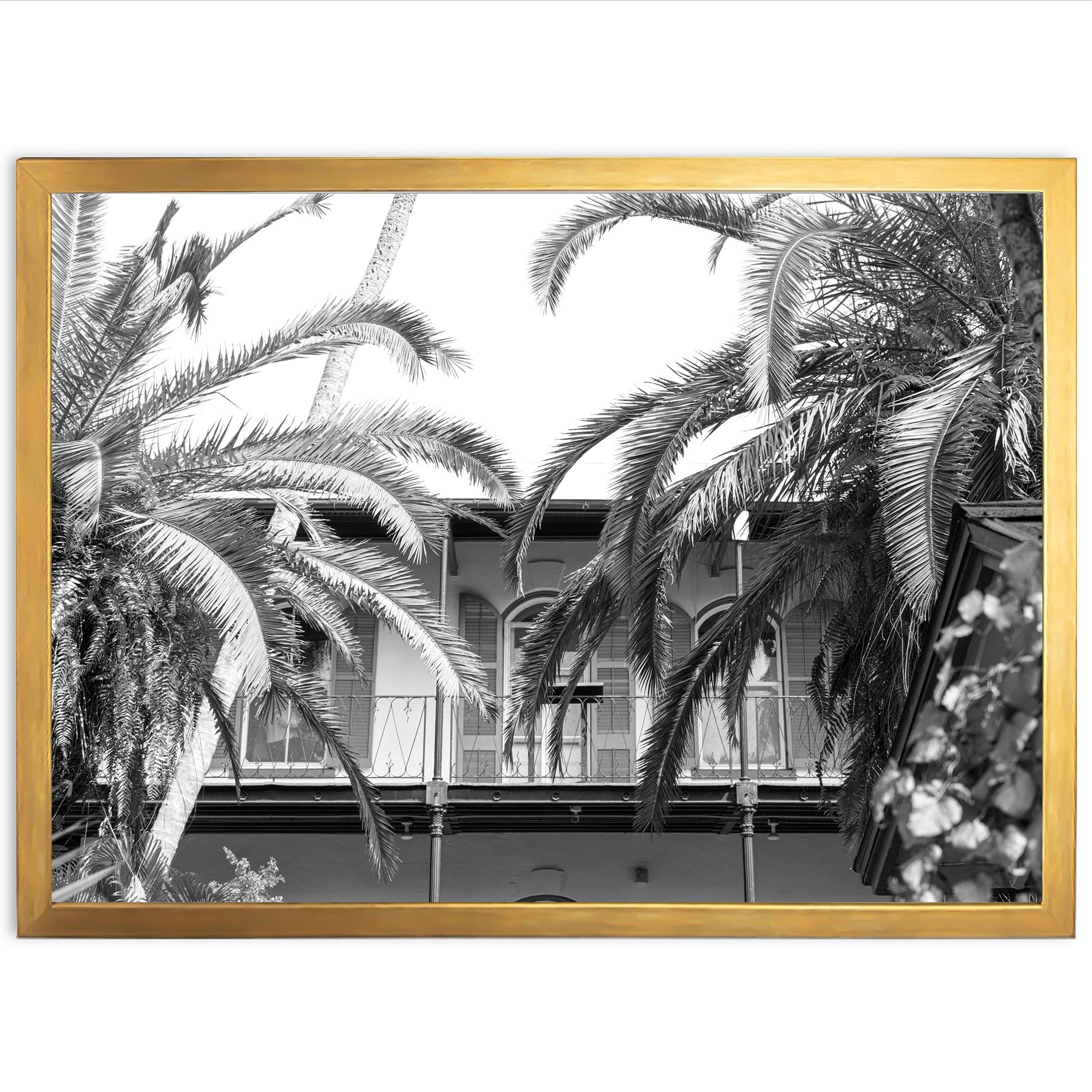 House of Hemingway - Shutter and Frame