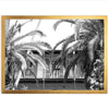 House of Hemingway - Shutter and Frame