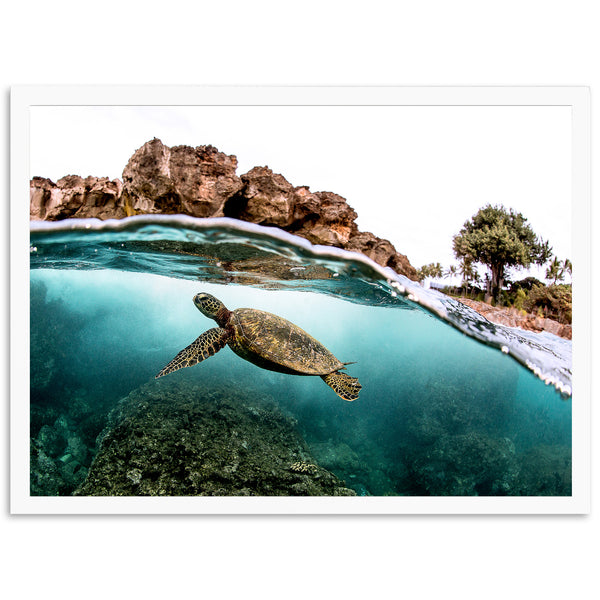 Marine Room - Shutter and Frame