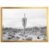 Sonora II - Shutter and Frame