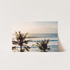 Indo Swell - Shutter and Frame