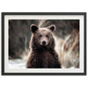 Bear - Shutter and Frame