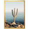Beach Cactus - Shutter and Frame