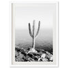 Beach Cactus II - Shutter and Frame