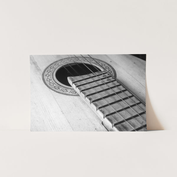 Strings - Shutter and Frame