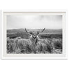 Highland Cow - Shutter and Frame