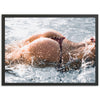 Splash - Shutter and Frame