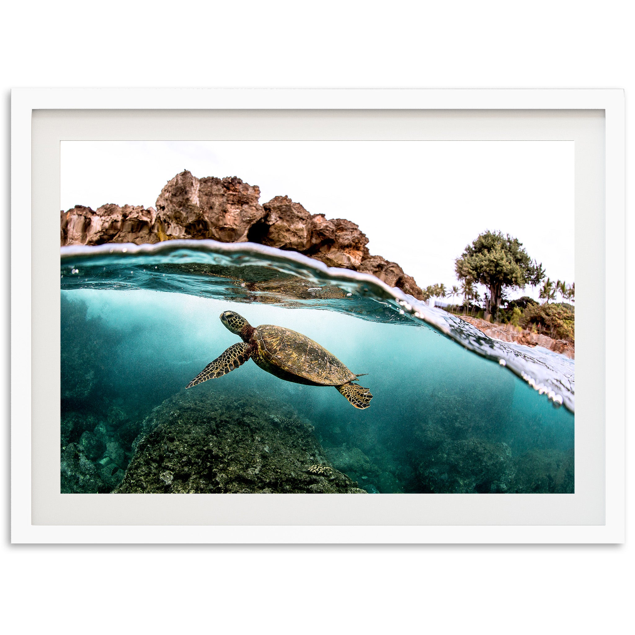 Marine Room - Shutter and Frame