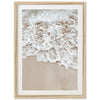 Sea Foam - Shutter and Frame