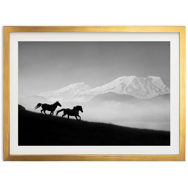 Mountain Spirit - Shutter and Frame