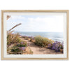 Coast Walk - Shutter and Frame
