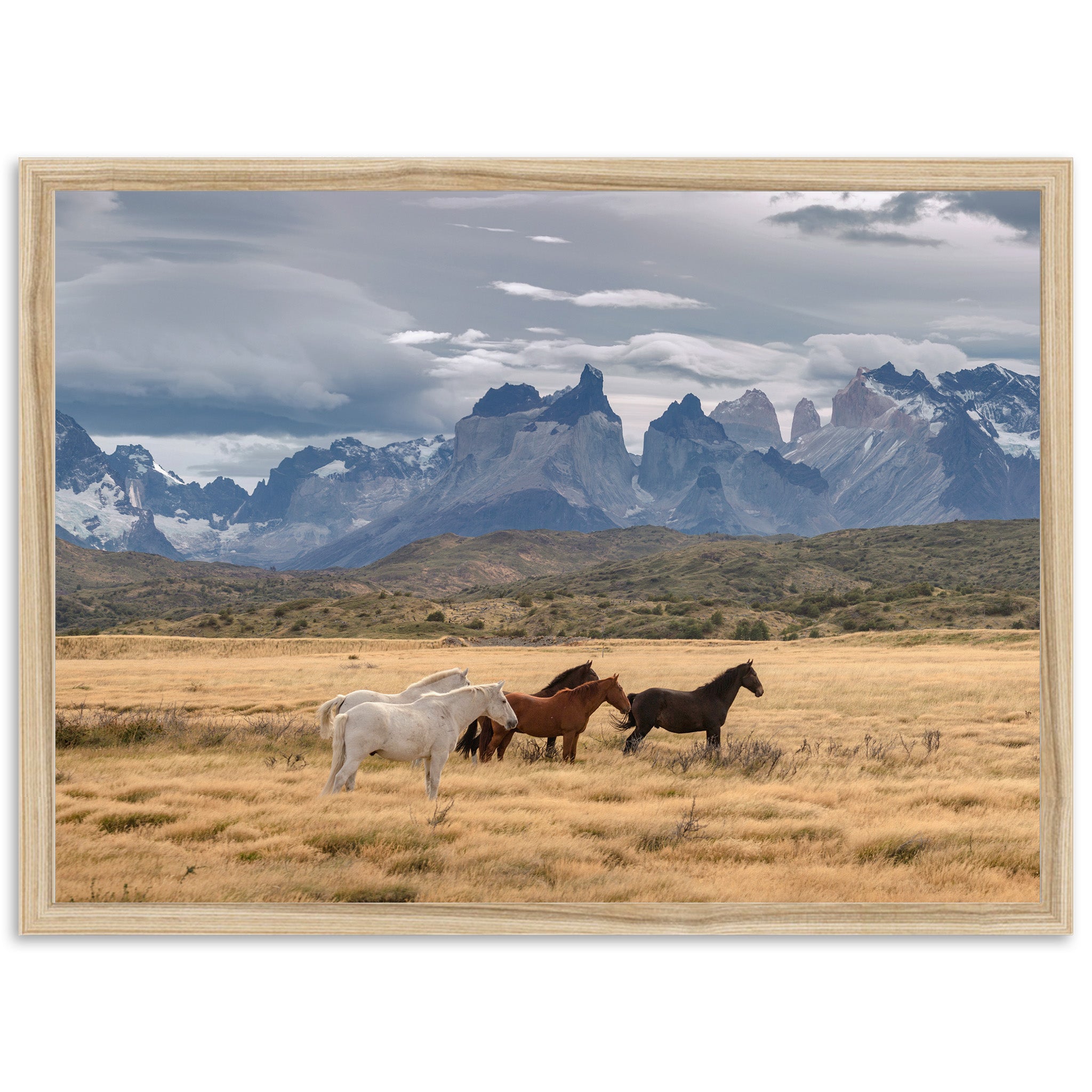 Wild Patagonia - Shutter and Frame