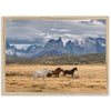 Wild Patagonia - Shutter and Frame