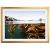 Kelp Forest - Shutter and Frame