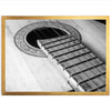 Strings - Shutter and Frame