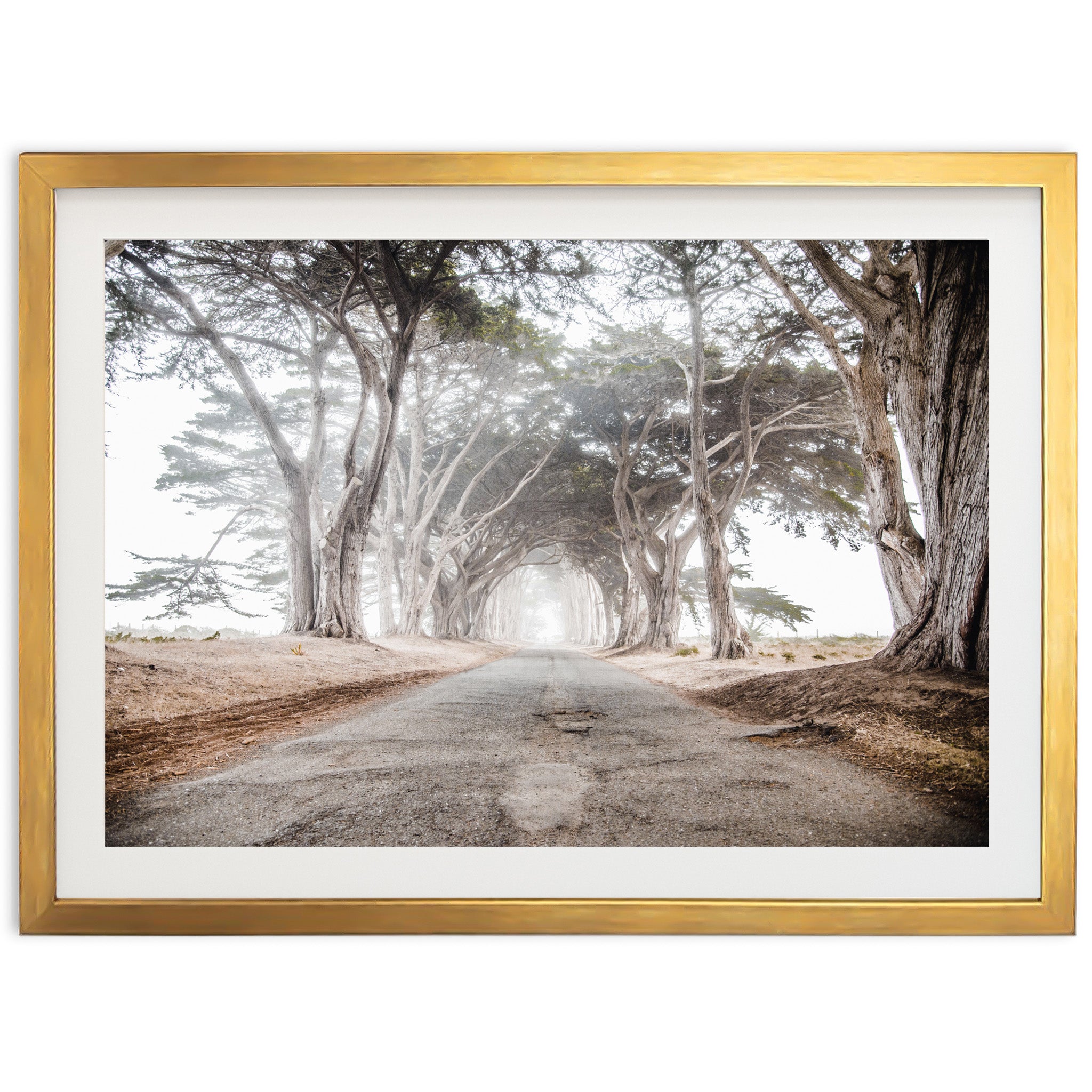 Tunnel Vision - Shutter and Frame