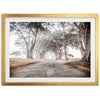 Tunnel Vision - Shutter and Frame