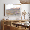 Desert Bloom - Shutter and Frame