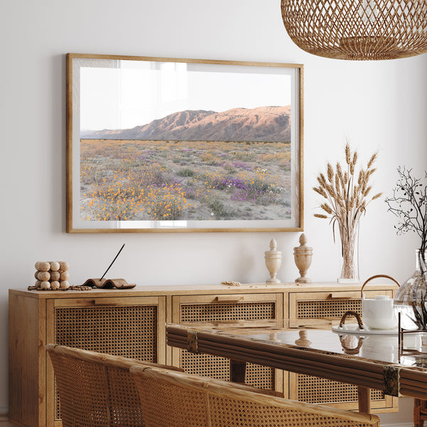 Desert Bloom - Shutter and Frame