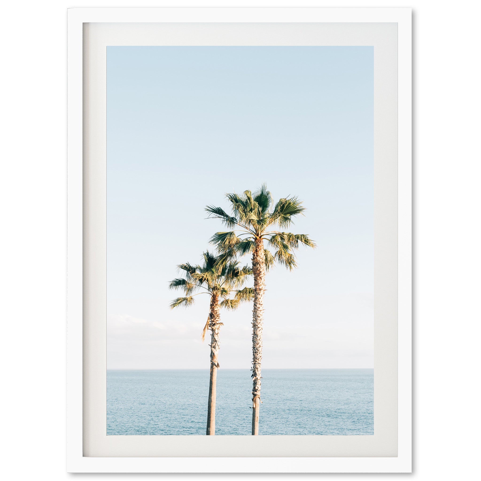 Ocean Palms - Shutter and Frame