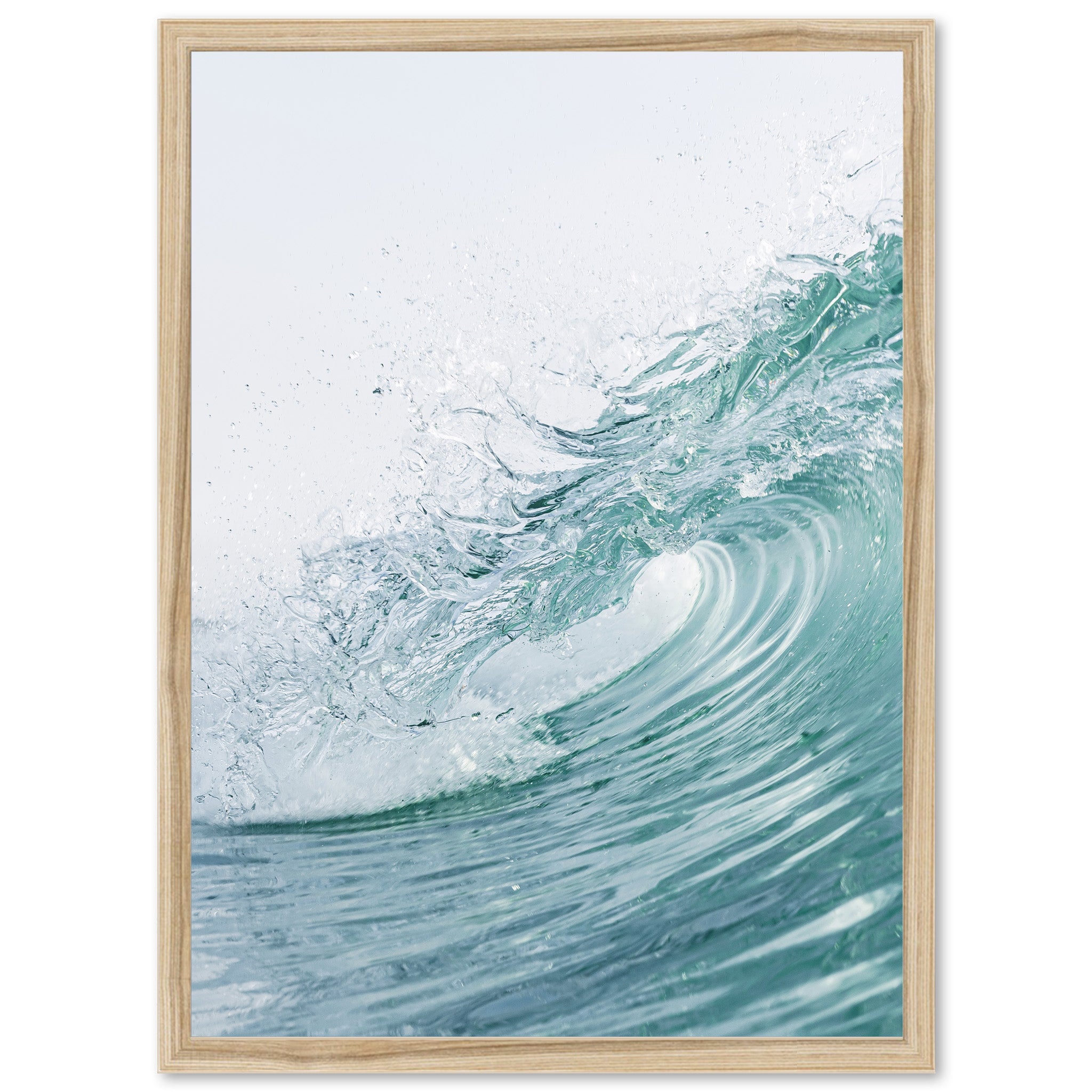 Shorebreak - Shutter and Frame