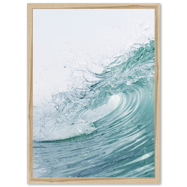 Shorebreak - Shutter and Frame