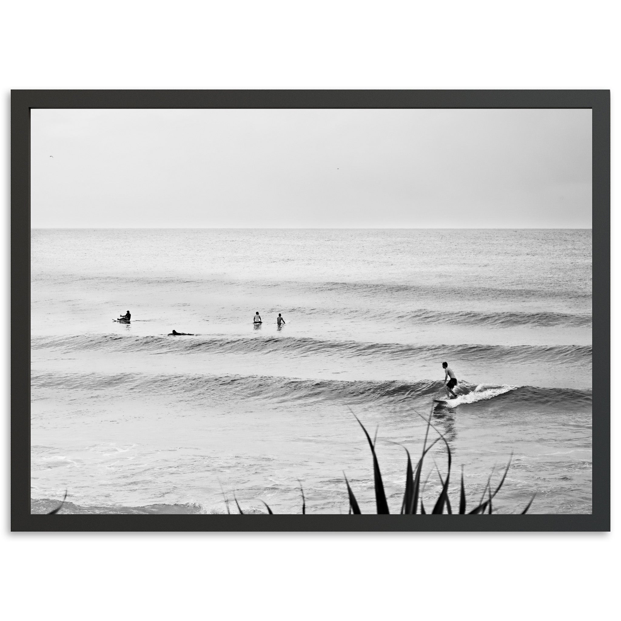 Endless Summer - Shutter and Frame