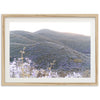 Lilac Bloom - Shutter and Frame