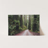 Redwood Road - Shutter and Frame