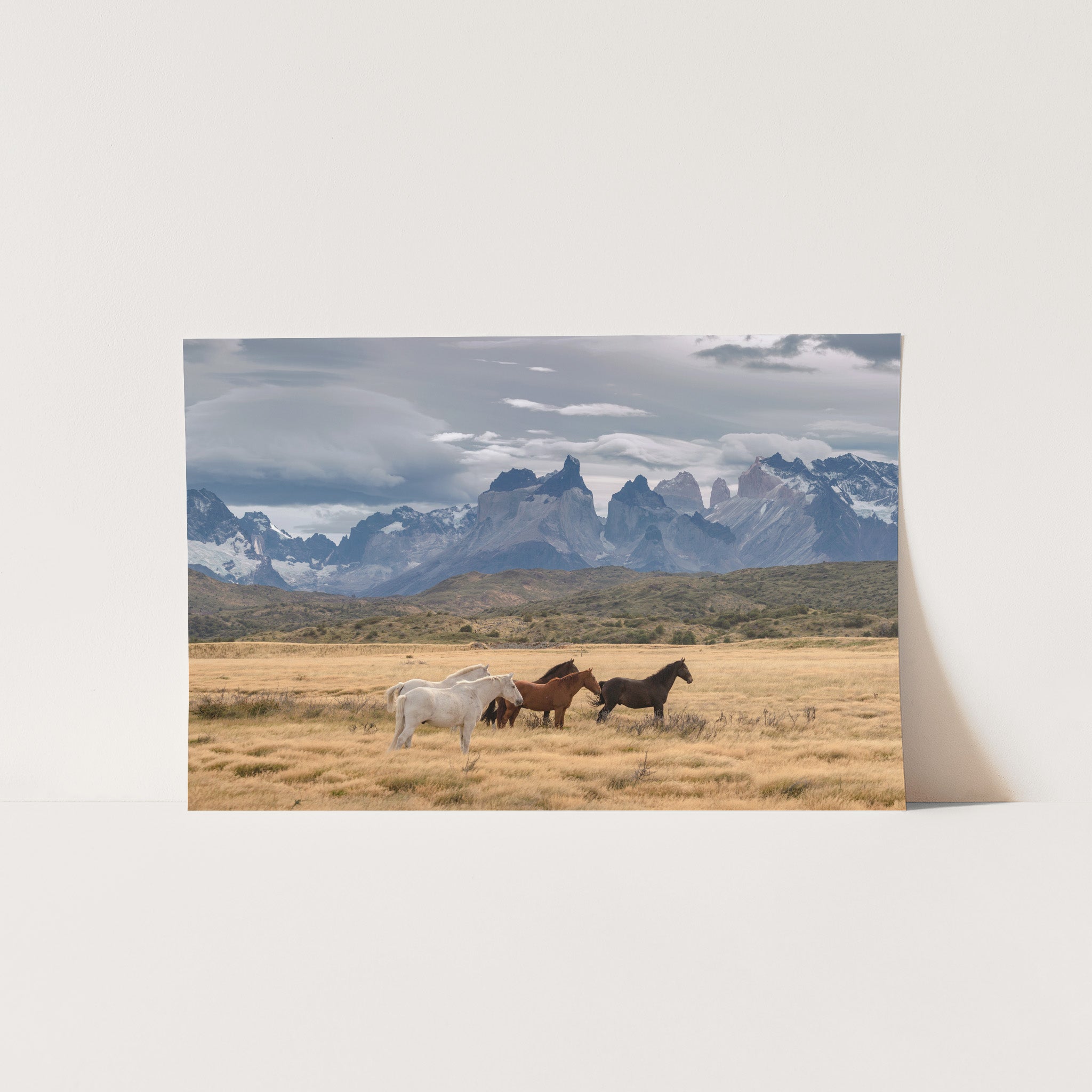 Wild Patagonia - Shutter and Frame
