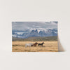 Wild Patagonia - Shutter and Frame