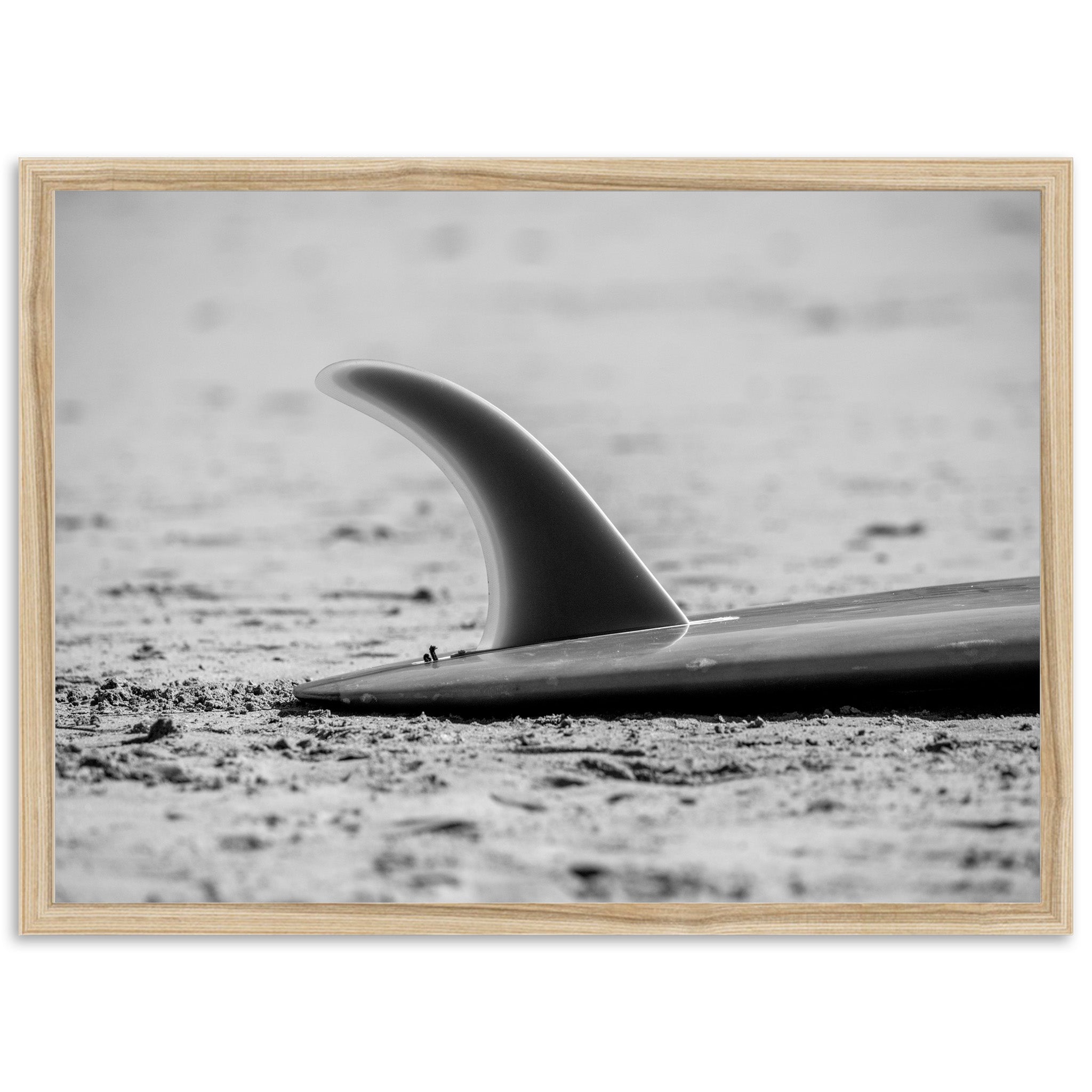Single Fin - Shutter and Frame