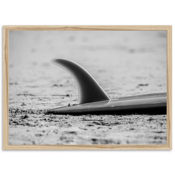 Single Fin - Shutter and Frame