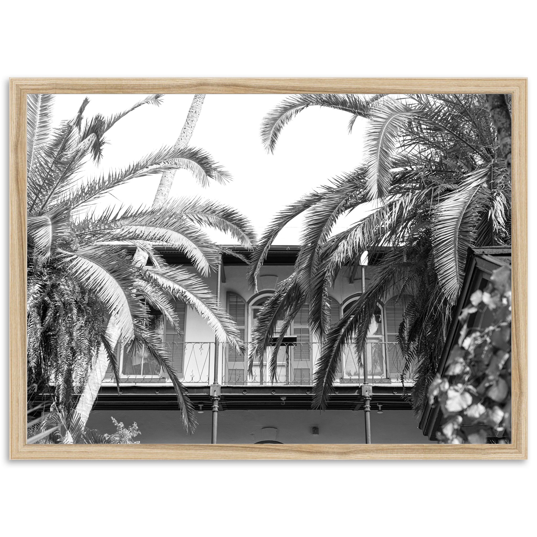 House of Hemingway - Shutter and Frame