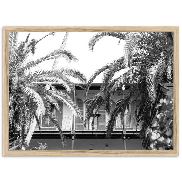 House of Hemingway - Shutter and Frame