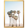 Beach Palms - Shutter and Frame