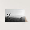 J Tree - Shutter and Frame